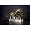 Load image into Gallery viewer, Herb Garden Set, 3-Piece Gourmet