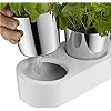 Load image into Gallery viewer, Herb Garden Set, 3-Piece Gourmet