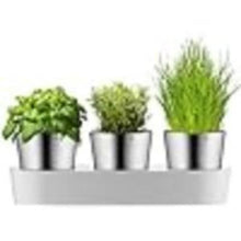 Load image into Gallery viewer, Herb Garden Set, 3-Piece Gourmet