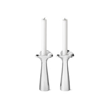Load image into Gallery viewer, Bloom Botanica Candleholders – Set of 2