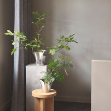 Load image into Gallery viewer, Bloom Botanica Flower pot, Medium