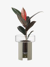 Load image into Gallery viewer, Terrazza Planter H22cm Concrete Grey