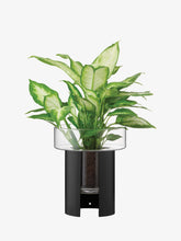 Load image into Gallery viewer, Terrazza Planter H22cm Jet Black