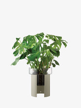 Load image into Gallery viewer, Terrazza Planter H45cm Concrete Grey