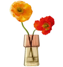 Load image into Gallery viewer, Gems Vase 12cm Amber