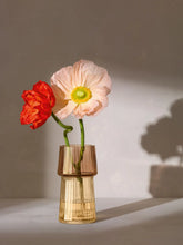 Load image into Gallery viewer, Gems Vase 12cm Amber