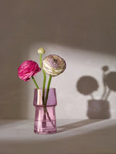 Load image into Gallery viewer, Gems Vase 12cm Garnet