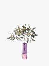 Load image into Gallery viewer, Gems Vase 26cm Garnet