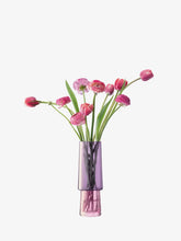 Load image into Gallery viewer, Gems Vase 26cm Garnet