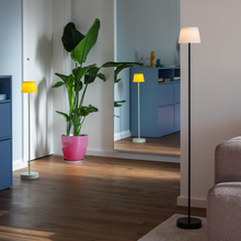 Load image into Gallery viewer, Floor Lamp 'William' Sunny 85 TO 126 CM