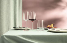 Load image into Gallery viewer, Sensa Universal Glass