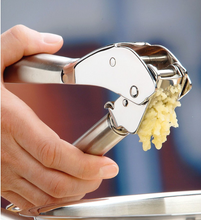 Load image into Gallery viewer, Profi Plus garlic press