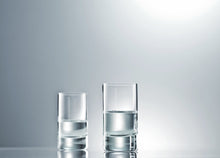 Load image into Gallery viewer, Paris vodka/ shot glass