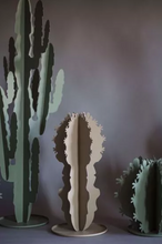 Load image into Gallery viewer, Medium Cactus, Beige, 51cm