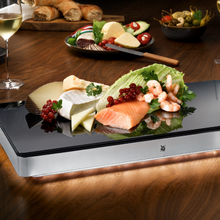 Load image into Gallery viewer, Warming and cooling plate