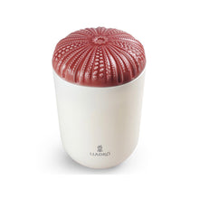 Load image into Gallery viewer, Echoes of Nature Candle, Mediterranean Beach Scent