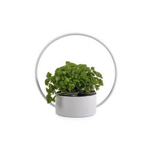 Load image into Gallery viewer, O-Collection Planter, White, 34.5cm