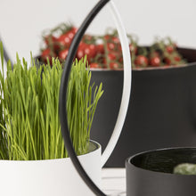Load image into Gallery viewer, O-Collection Planter, Black, 34.5cm