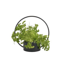 Load image into Gallery viewer, O-Collection Planter, Black, 34.5cm