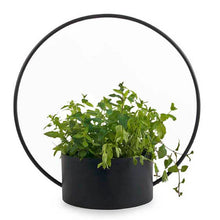 Load image into Gallery viewer, O-Collection Planter, Black, 60cm