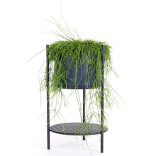 Load image into Gallery viewer, Ent plant stand, Black, 56 cm