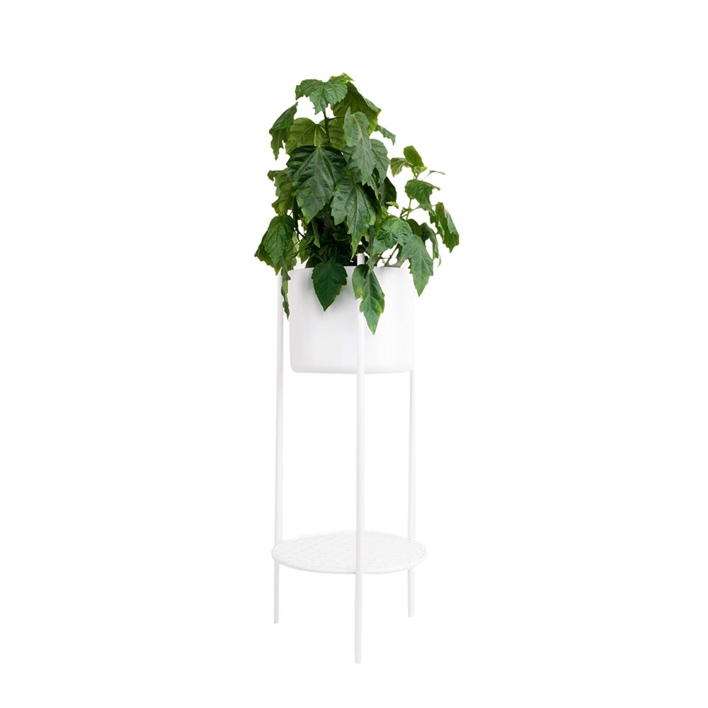Ent plant stand, White, 78cm