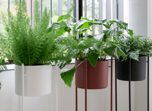 Load image into Gallery viewer, Ent plant stand, Black, 78cm