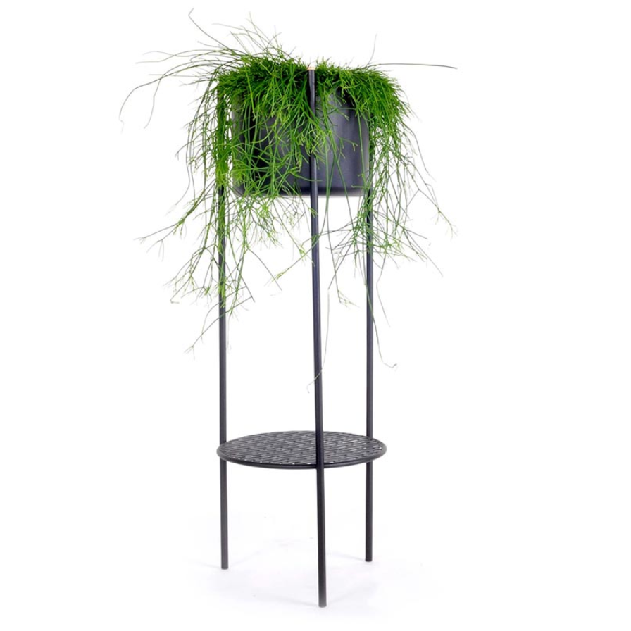 Ent plant stand, Black, 98cm