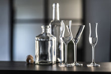 Load image into Gallery viewer, Bar Special Martini Contemporary Glass

