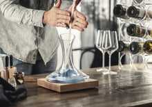 Load image into Gallery viewer, Eisch Decanter Dryer Brush
