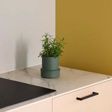 Load image into Gallery viewer, Self Watering Pot Billund, Parsley

