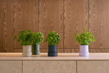 Load image into Gallery viewer, Self Watering Pot Billund, Blueberry
