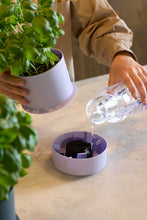 Load image into Gallery viewer, Self Watering Pot Billund, Blueberry
