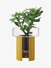 Load image into Gallery viewer, Terrazza Planter H22cm Mustard Yellow
