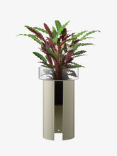 Load image into Gallery viewer, Terrazza Planter H60cm Concrete Grey
