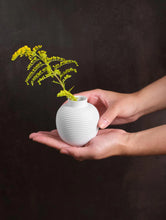 Load image into Gallery viewer, Vase, Japandi Mini H: 6.5 cm
