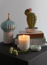 Load image into Gallery viewer, Lladro Echoes of Nature Candle, On The Prairie Scent
