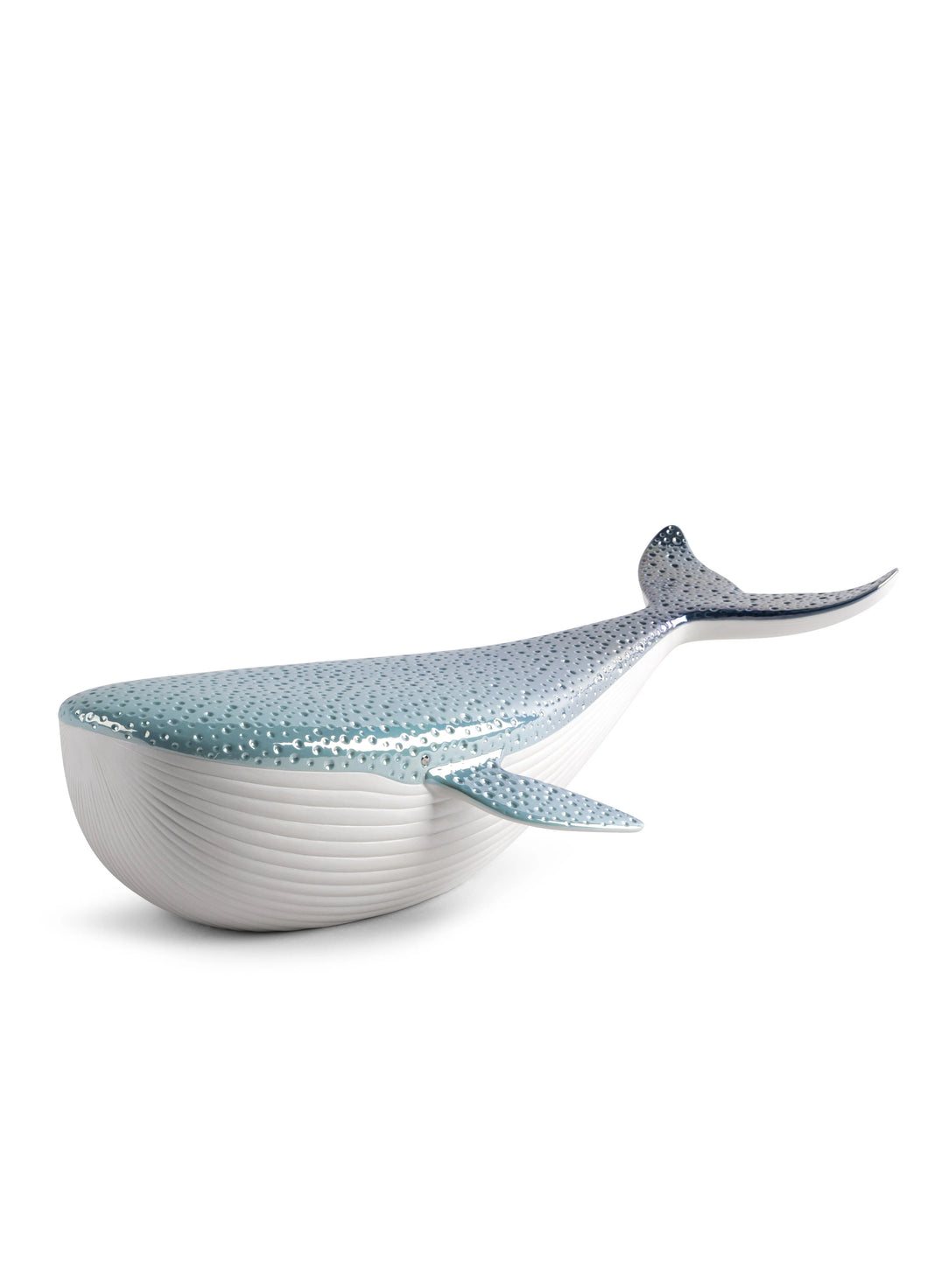 Little whale