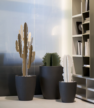 Load image into Gallery viewer, Large Cactus, Beige, 100cm
