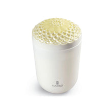 Load image into Gallery viewer, Echoes of Nature Candle, Tropical Blossoms Scent
