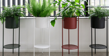 Load image into Gallery viewer, Ent plant stand, Black, 78cm

