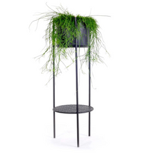 Load image into Gallery viewer, Ent plant stand, Black, 98cm
